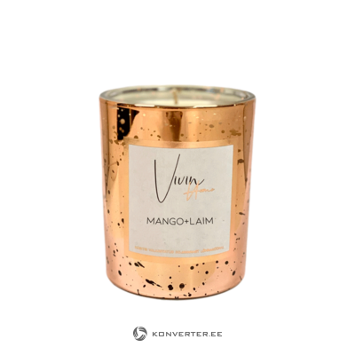 Ароматическая свеча (манго + розовое золото лайм 235г) vivin