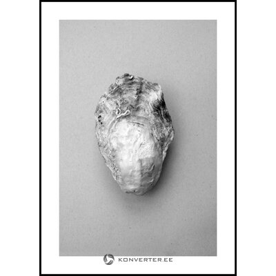 Musta Raamiga Seinapilt Oyster 1 (Malerifabrikken) 50X70