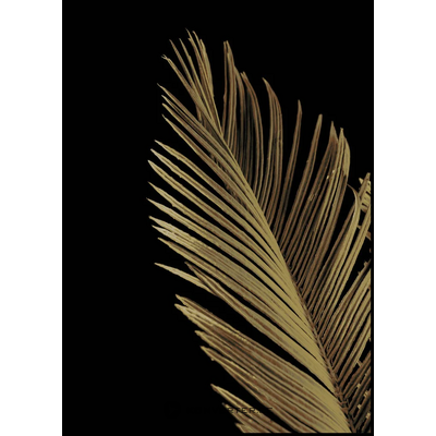 Wall picture with black frame golden palm 1 (malerifabrikken)