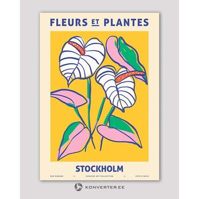 Sienas attēlu puķu dārzs - Stokholma (50x70) ar skaistuma trūkumu
