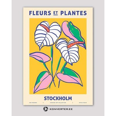 Sienas attēlu puķu dārzs - Stokholma (novictus) 70x100 kastē