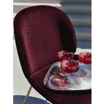 Punane Samet Tool Beetle (Gubi)