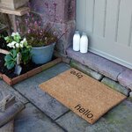 Ovimatto hello bye (taide) 40x60