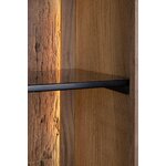 Cabinet (Mangal)