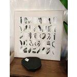 Sienų tapyba Peirce (agava)