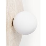 Wall and Ceiling Light (Cehlani)