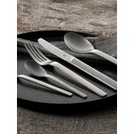 Minimale-aterinsetti (Zwilling)