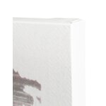 Almendro (belssia) wall picture on canvas 122x152 broken