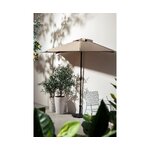 Gray parasol caliph (bizzotto) intact