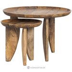Medžio masyvo kavos staliukų komplektas su ella (medžio) grožio trūkumu