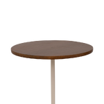 Wooden coffee table (urban nature)