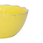 Yellow bowl (urban nature)