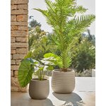 Zaļais mākslīgais augs (palmera)