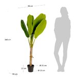 Green artificial plant (banano)
