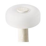 Design table lamp (carla) with beauty flaws.