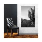 Sienas attēls kaktuss (c-con) ar skaistumkopšanas kļūdu