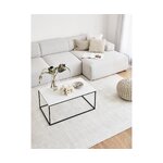 A marble coffee table (alys) with a beauty flaw