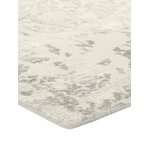Villa-Viskoosisegu Disain Vaip Florentine (Linie Design)170x240