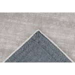 Silver gray viscose carpet domingo (kayoom) 160x230 intact