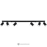 Musta kattovalaisin Etna (Sollux)