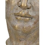 Lillealus face (hd-kokoelma)
