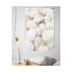 Seinapilt Muscheln (C-Con) 50x70