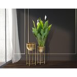 Набор подставок Golden flower 2 шт. Glam (mauro ferretti) неповрежденный