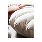 White design pillow (shell) intact