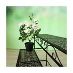 Field flower frame broder (boltze) intact