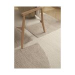 Light gray-beige fluffy carpet (jade) 300x400