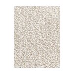 Light gray-beige fluffy carpet (jade) 300x400