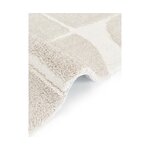 Light gray-beige fluffy carpet (jade) 300x400