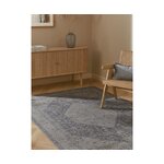 Gray vintage style carpet (Naples) 200x300 intact