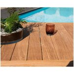 Solid wood garden table Vieste (actona) intact
