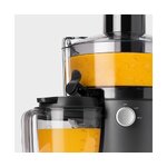 Mehupuristin (nutribullet) ehjä
