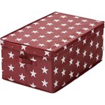 Christmas light box star (store) intact