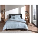 Blue gray cotton bedding set 2-piece lino (hnl group) complete