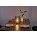Led table lamp fancy (paulmann licht) intact