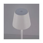 Battery powered led table lamp louise (paul neuhaus) intact