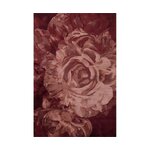 Roosi Pildiga Disain Vaip Stitchy Roses (Bold Monkey)200x300