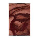 Roosi Pildiga Disain Vaip Stitchy Roses (Bold Monkey)200x300