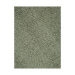 Gray viscose carpet (jane) 200x300 intact