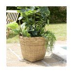 Flower pot with handles hector (dpi)