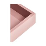 Light pink tray (hayley) intact