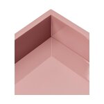 Light pink tray (hayley) intact