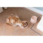 Round cat food bowl (hoopo) whole