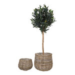 Rattan flower pot (pulo)