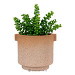 Lillepott (Flowerpot)