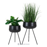 Flower pot (ardola)