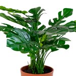 Artificial plant (monstera)